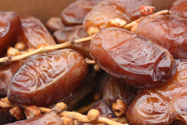 dates supplier in Malaysia